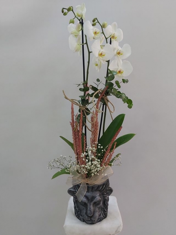 Beyaz Orkide Tasarımı Aslan Vazo