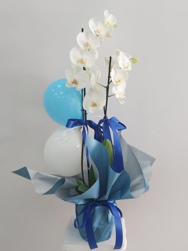 Yeni Doğan Erkek Bebek Orkide Mavi Balon