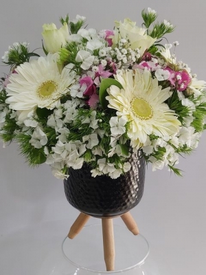 Vazoda Canlı Çiçekler